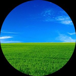 Meet your Posher, Chris||